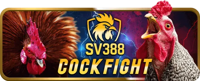 Ưu đãi big79 win hấp dẫn